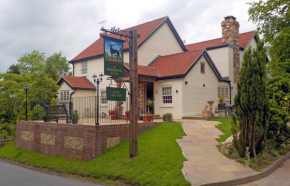 Greyhound Hever